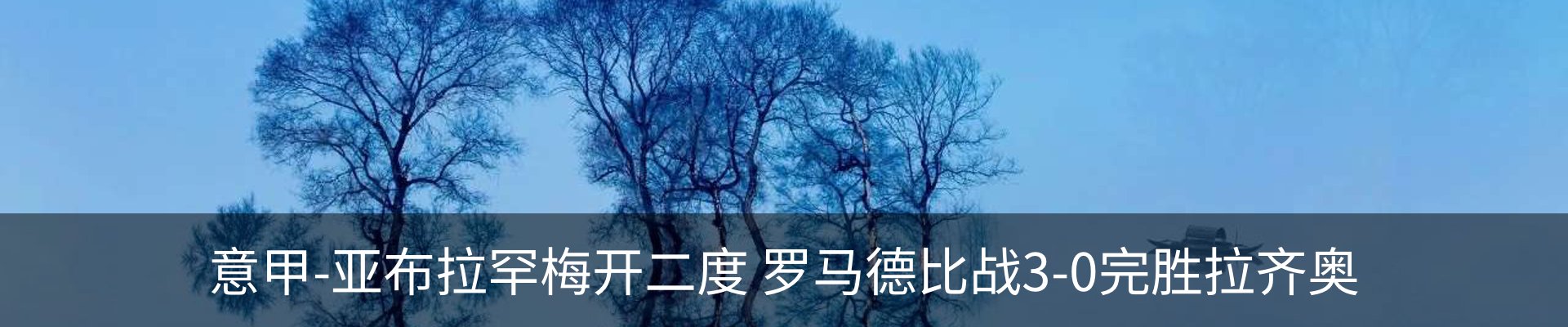 新闻动态