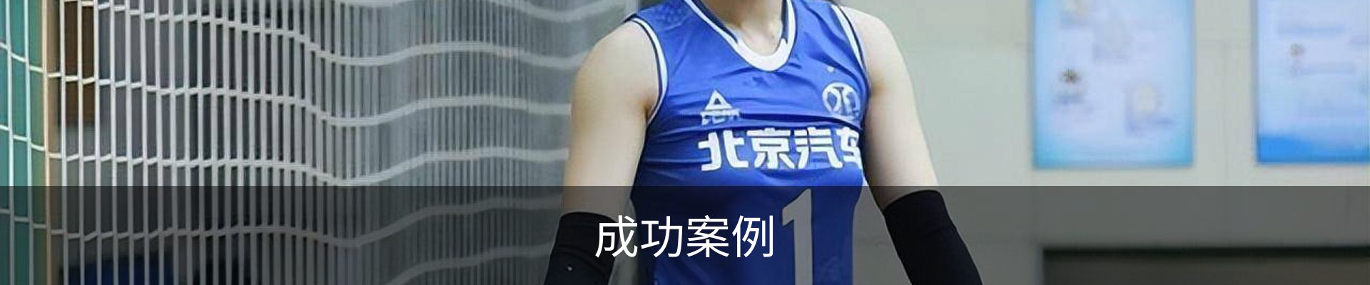 成功案例